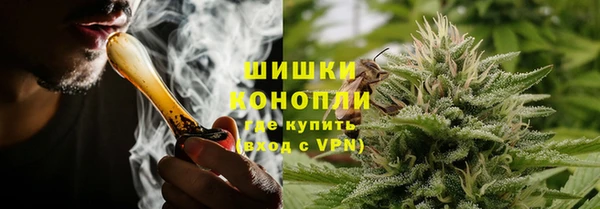 прущие крисы Кодинск